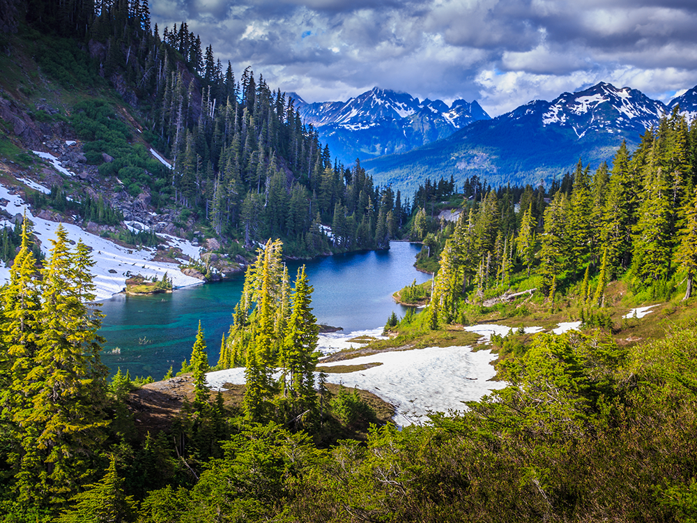 Best security solutions in Montana