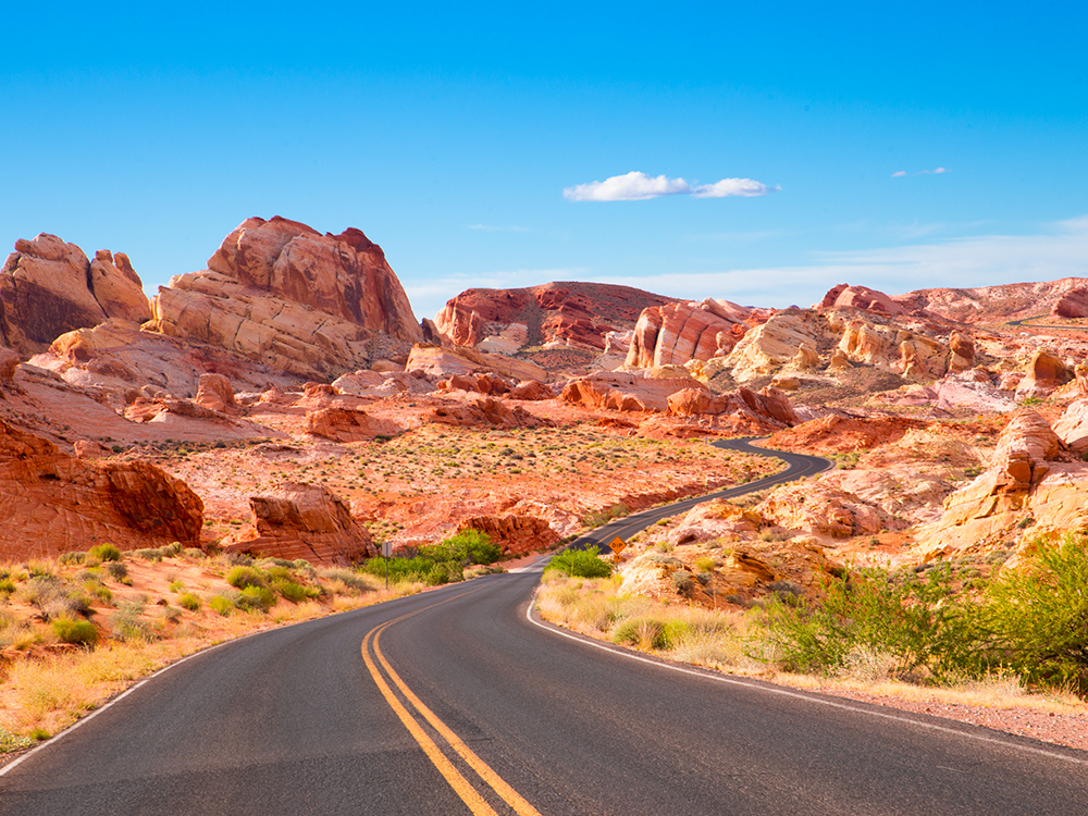 Best security solutions in Nevada