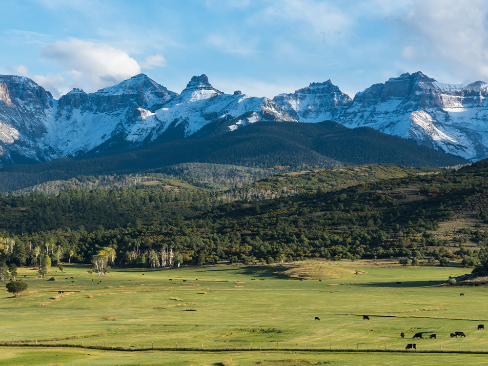 Best security solutions in Colorado