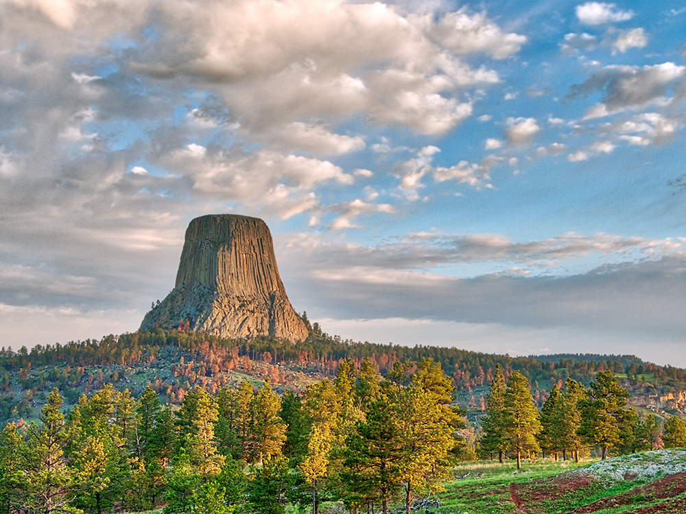Best security solutions in Wyoming