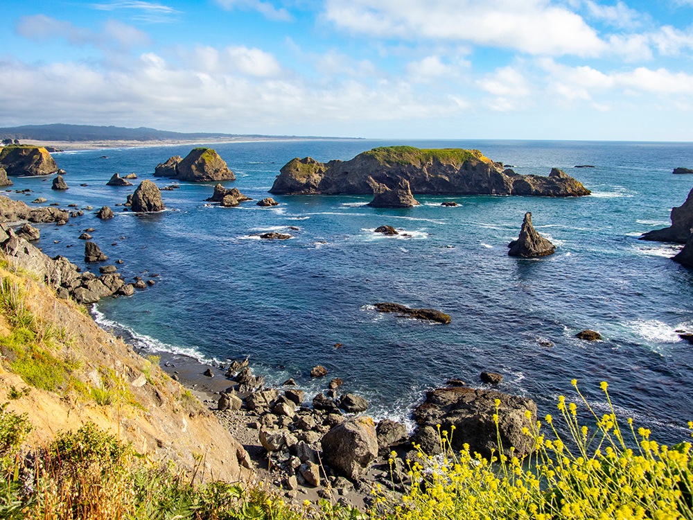 Best security solutions in Northern California